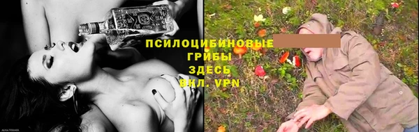 скорость Белокуриха