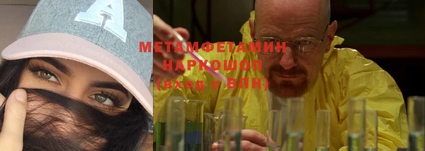 прущие грибы Богданович